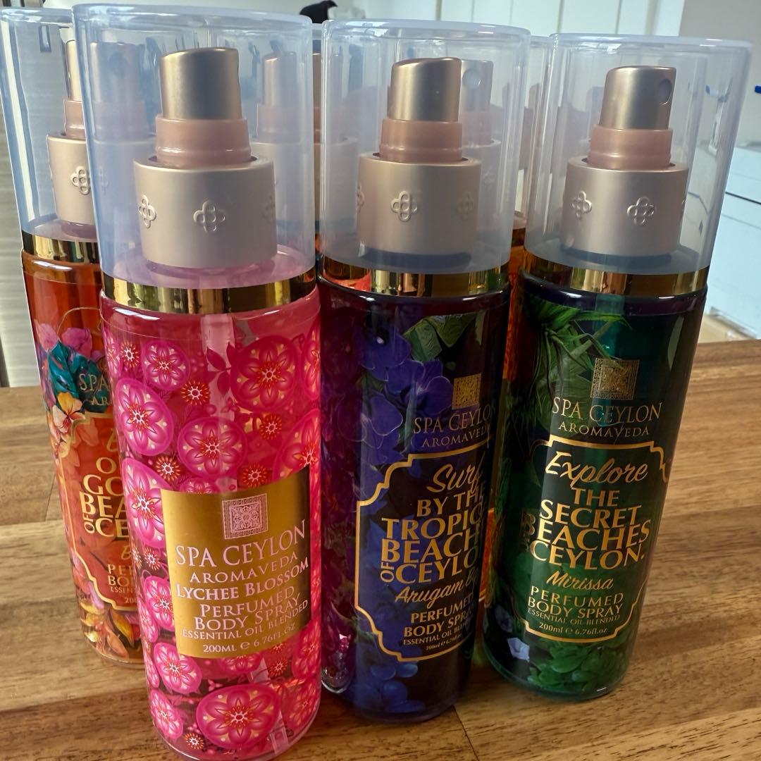 【スパセイロン】おまとめセット