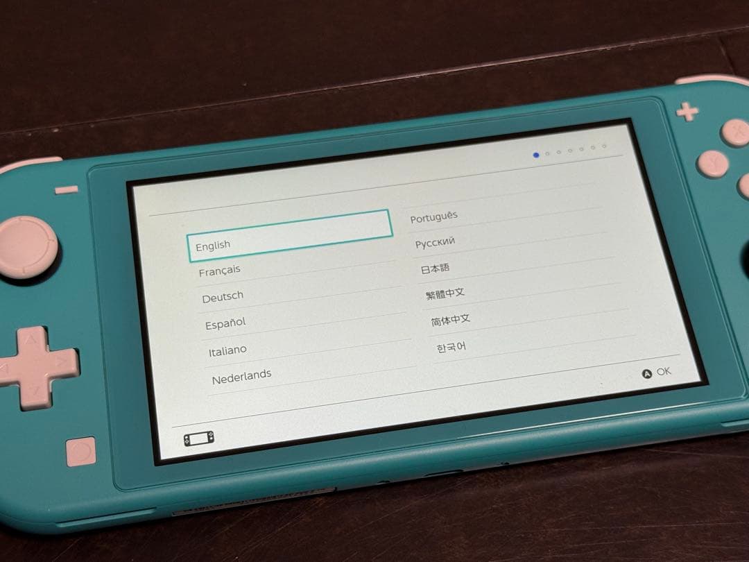 Nintendo Switch Lite ターコイズ 付属品完備 おまけ3点付