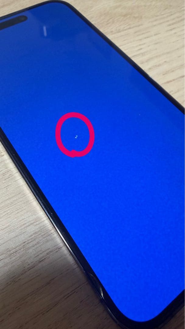 Apple iPhone 14 Pro max 256GB 本体のみ