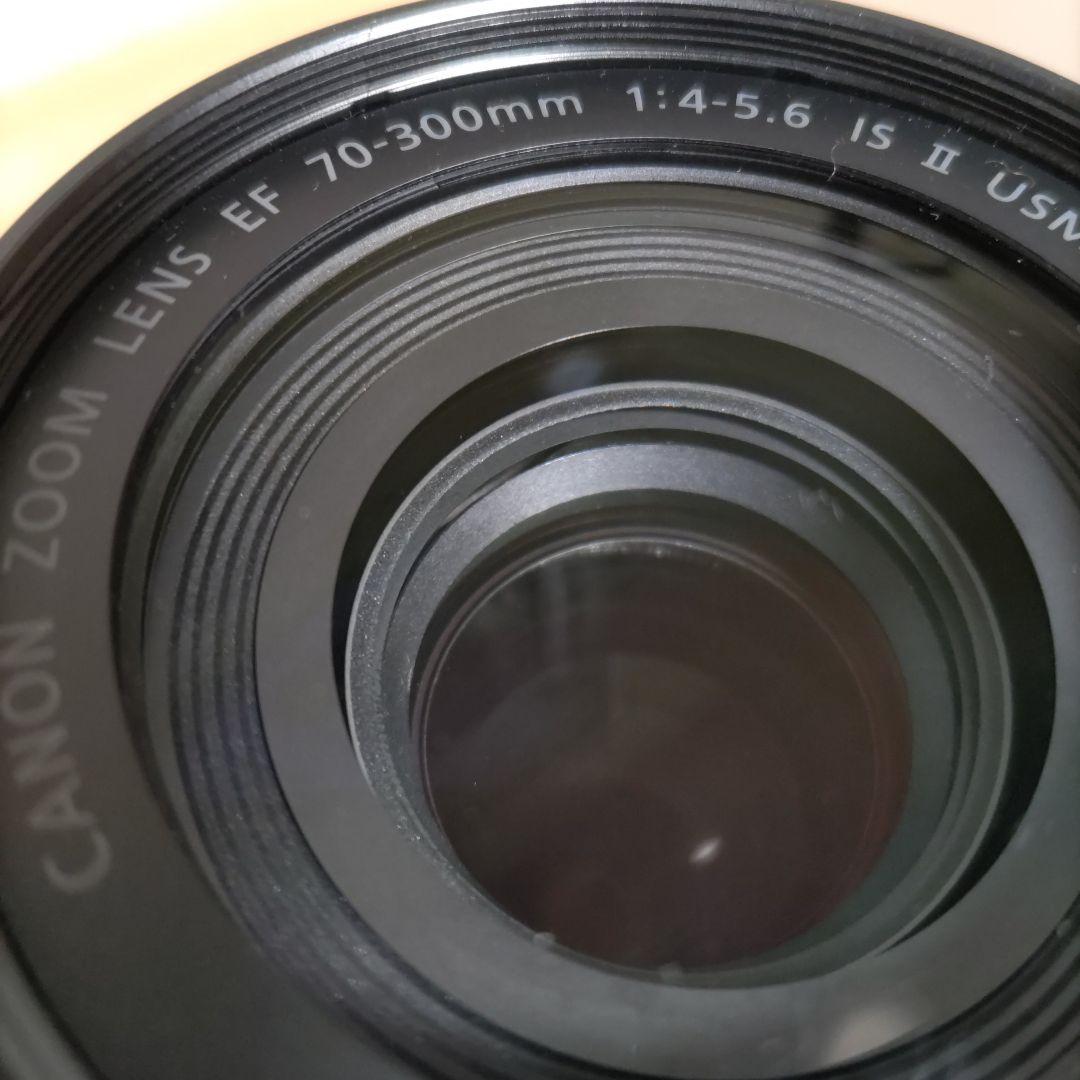 【A】Canon EF 70-300mm f4-5.6 IS Ⅱ USM