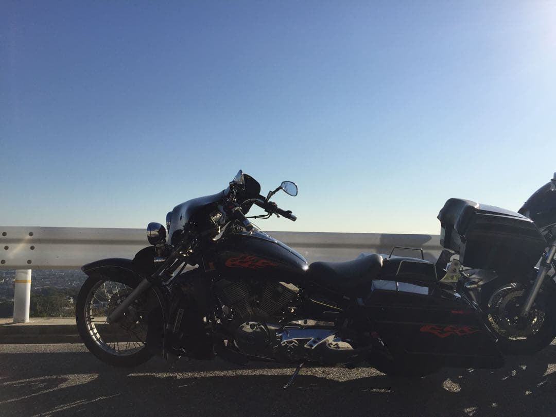 【野良猫】ドラッグスター250用ビッグタンクカバー