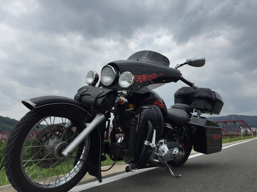 【野良猫】ドラッグスター250用ビッグタンクカバー