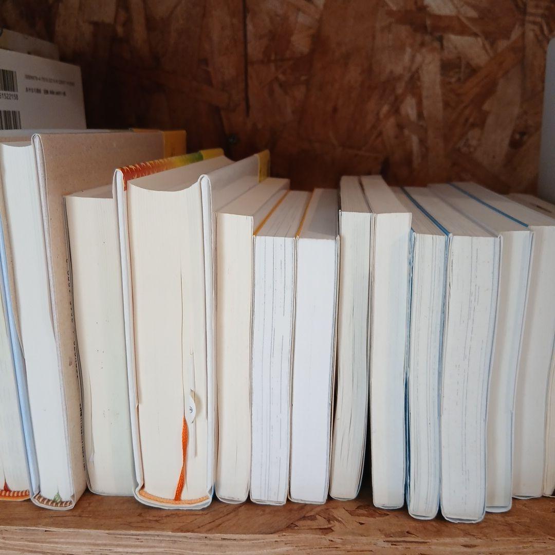 【高学年～】ニューベリー賞など　児童書、小説30冊まとめ売り