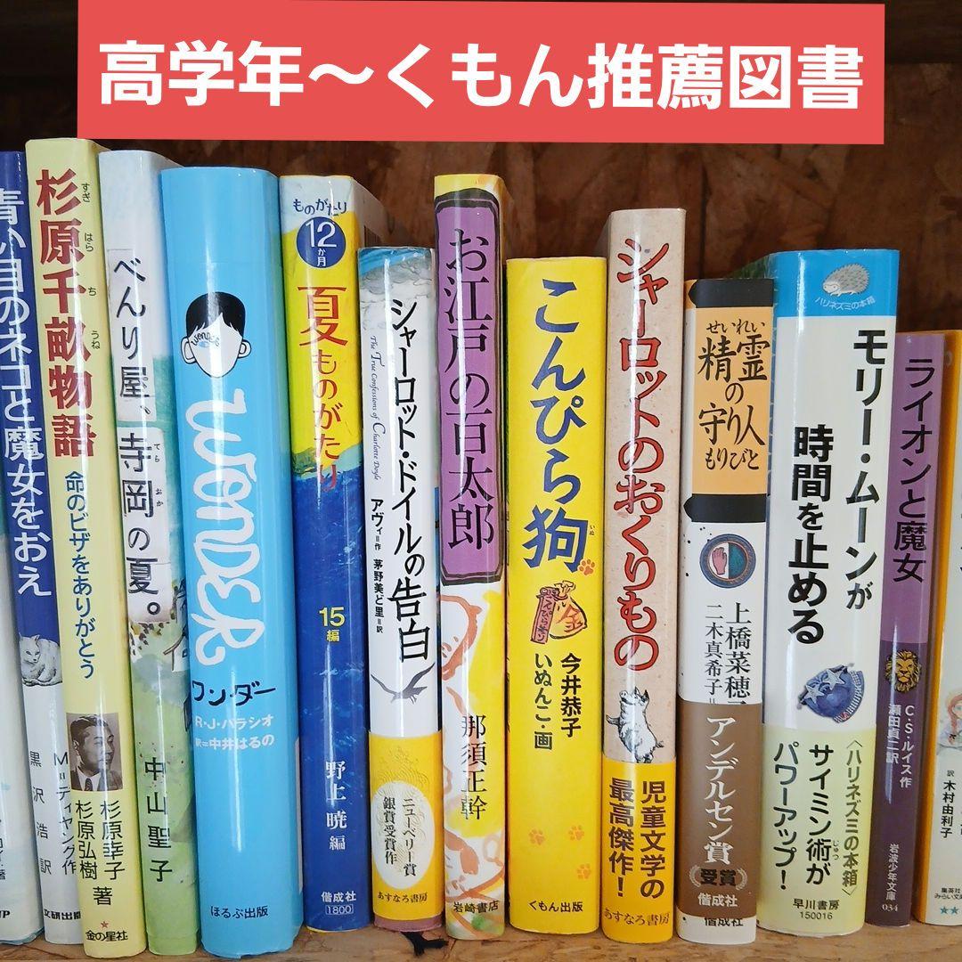 【高学年～】ニューベリー賞など　児童書、小説30冊まとめ売り