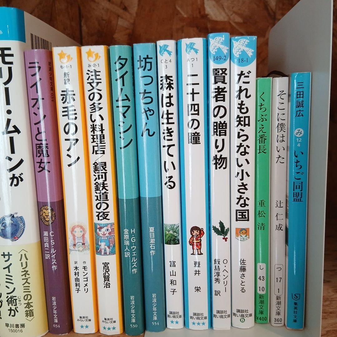 【高学年～】ニューベリー賞など　児童書、小説30冊まとめ売り