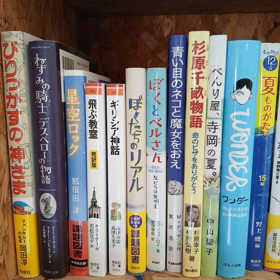 【高学年～】ニューベリー賞など　児童書、小説30冊まとめ売り