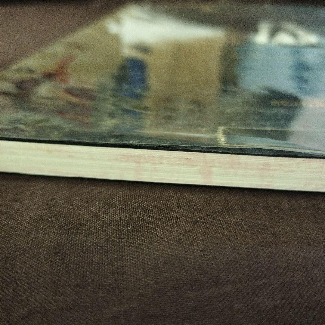 ピエール・モリニエ　DER SCHAMANE