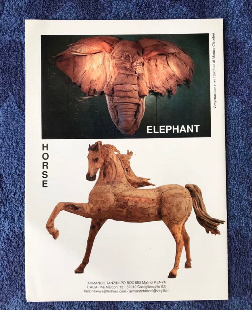 図録　Armando Tanzini(手書素描付カタログ)&ベネチアビエンナーレ