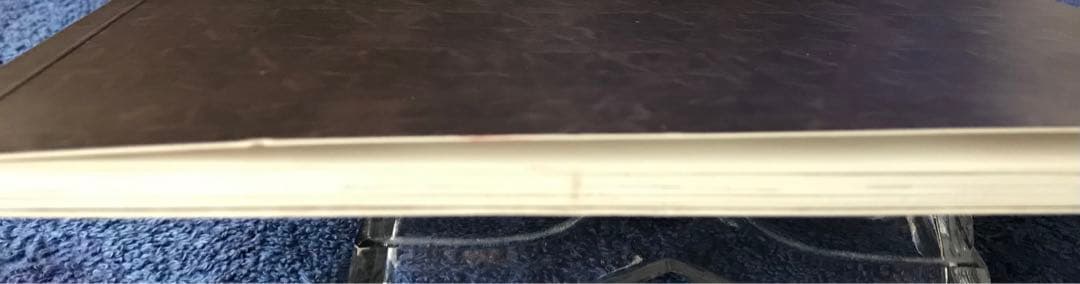 図録　Armando Tanzini(手書素描付カタログ)&ベネチアビエンナーレ