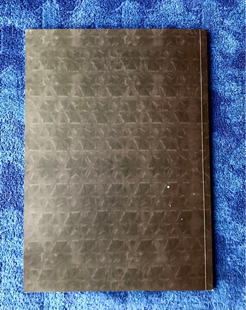 図録　Armando Tanzini(手書素描付カタログ)&ベネチアビエンナーレ