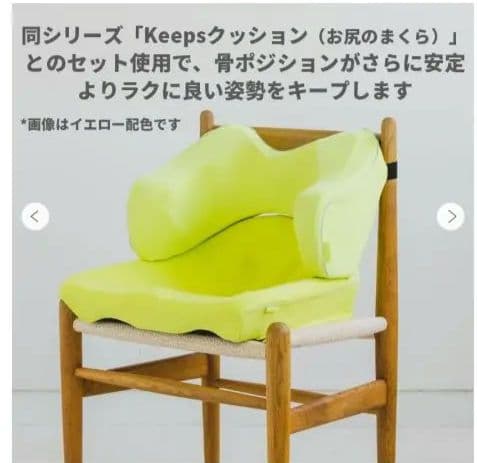 西川 Keeps 腰のまくら・お尻のまくら　セット　　ランバークッション