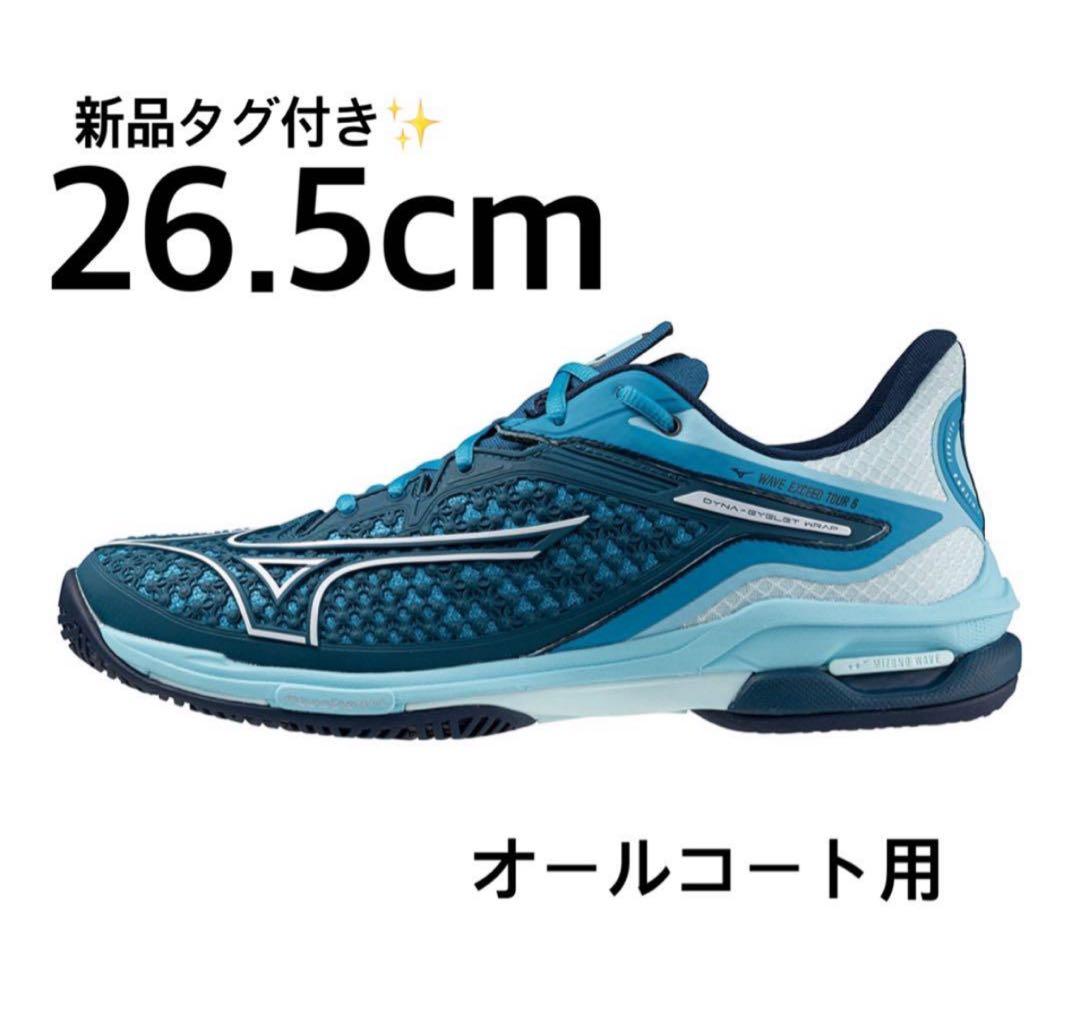 【新品未使用】Mizuno ミズノ テニスシューズ 26.5cm