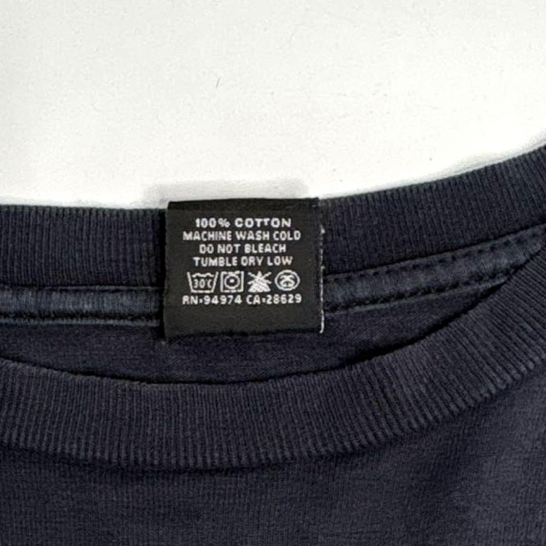 2005ss stussy masterpiece ロンT L ラスタ 王冠