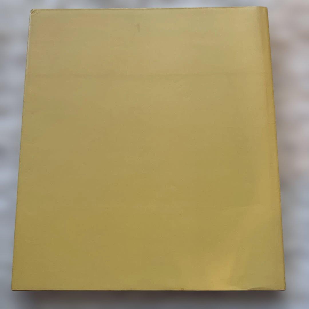 希少　William Eggleston for now 初版