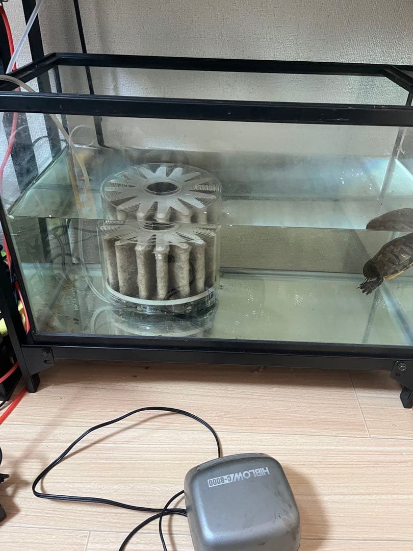 購入前に確認メールお願いします。 コトブキ60cmガラス水槽2本 GEX水槽台