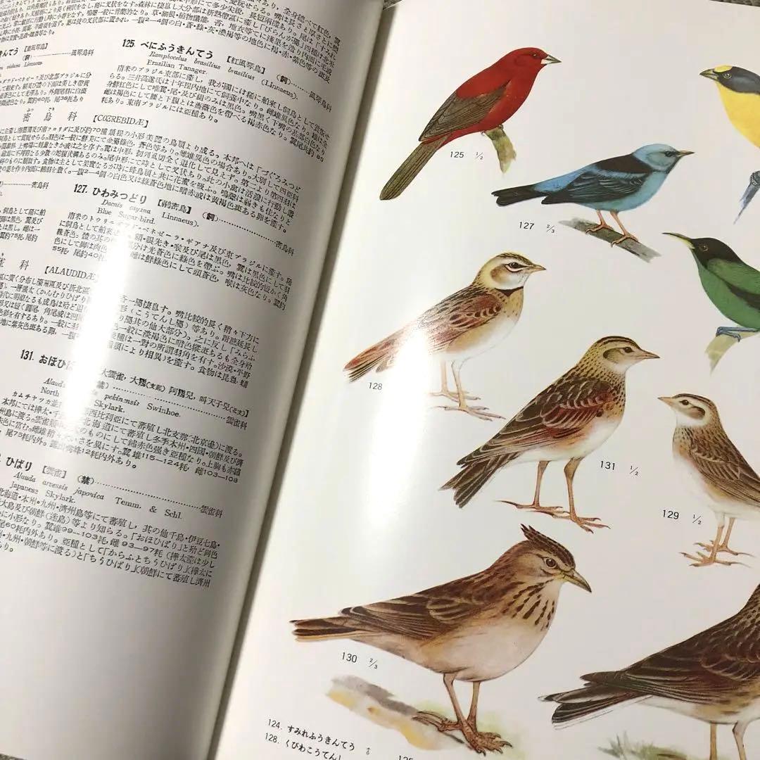 【最終値下げ】鳥類原色大図説 全3巻 セット 鳥 図鑑 動物