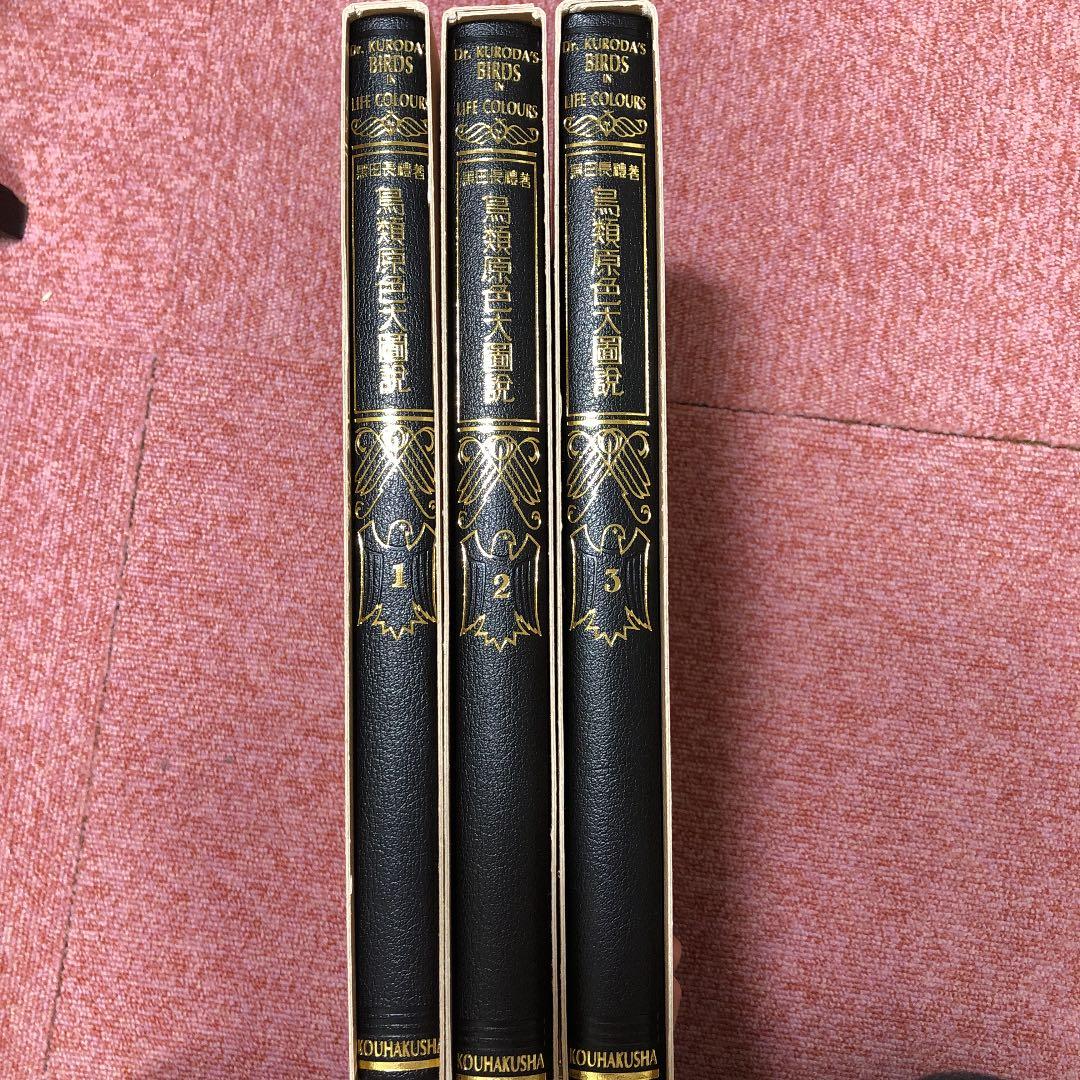 【最終値下げ】鳥類原色大図説 全3巻 セット 鳥 図鑑 動物
