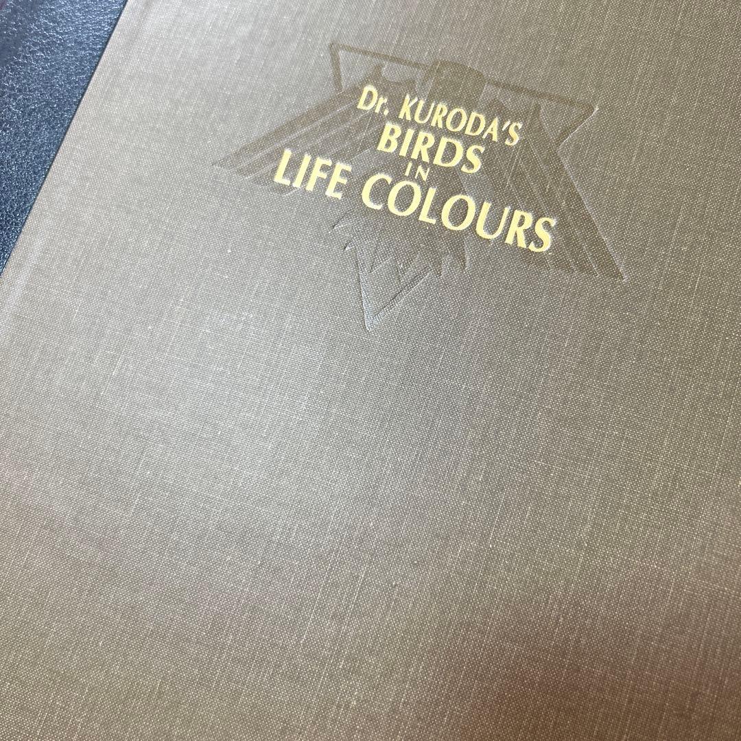 【最終値下げ】鳥類原色大図説 全3巻 セット 鳥 図鑑 動物