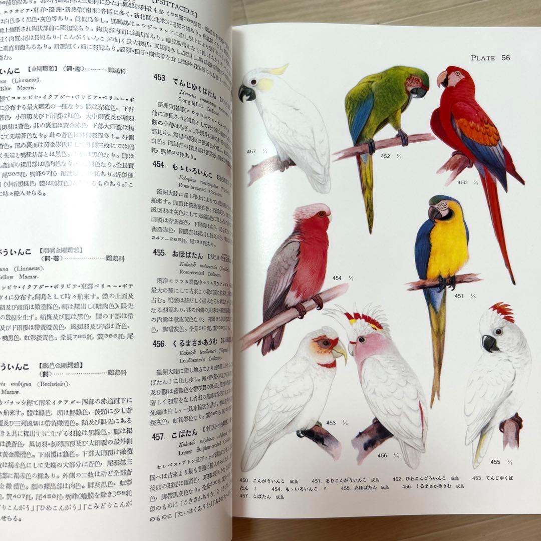 【最終値下げ】鳥類原色大図説 全3巻 セット 鳥 図鑑 動物