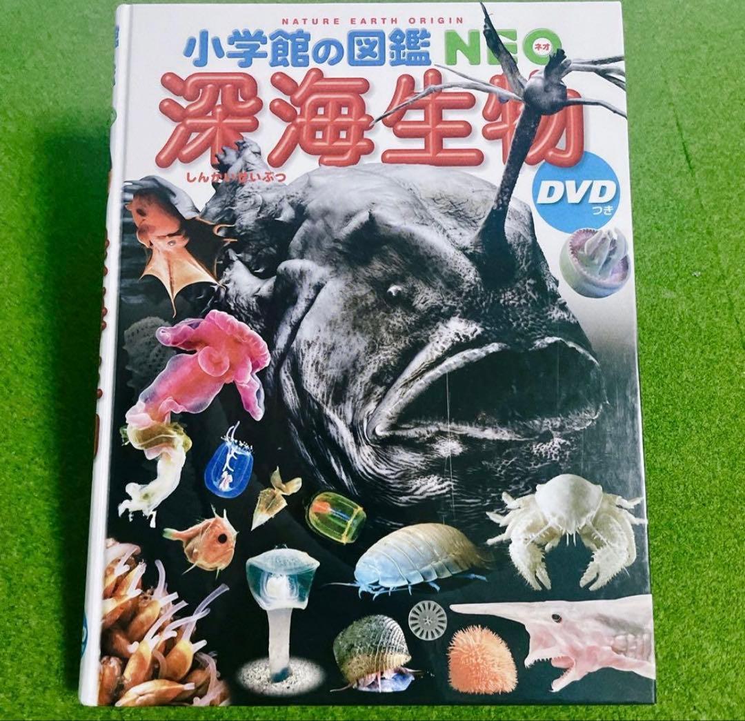 小学館の図鑑NEO 5冊セット　DVD有り