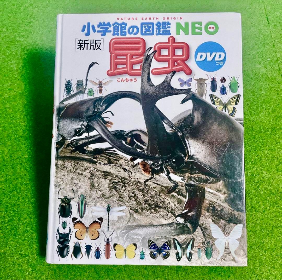 小学館の図鑑NEO 5冊セット　DVD有り