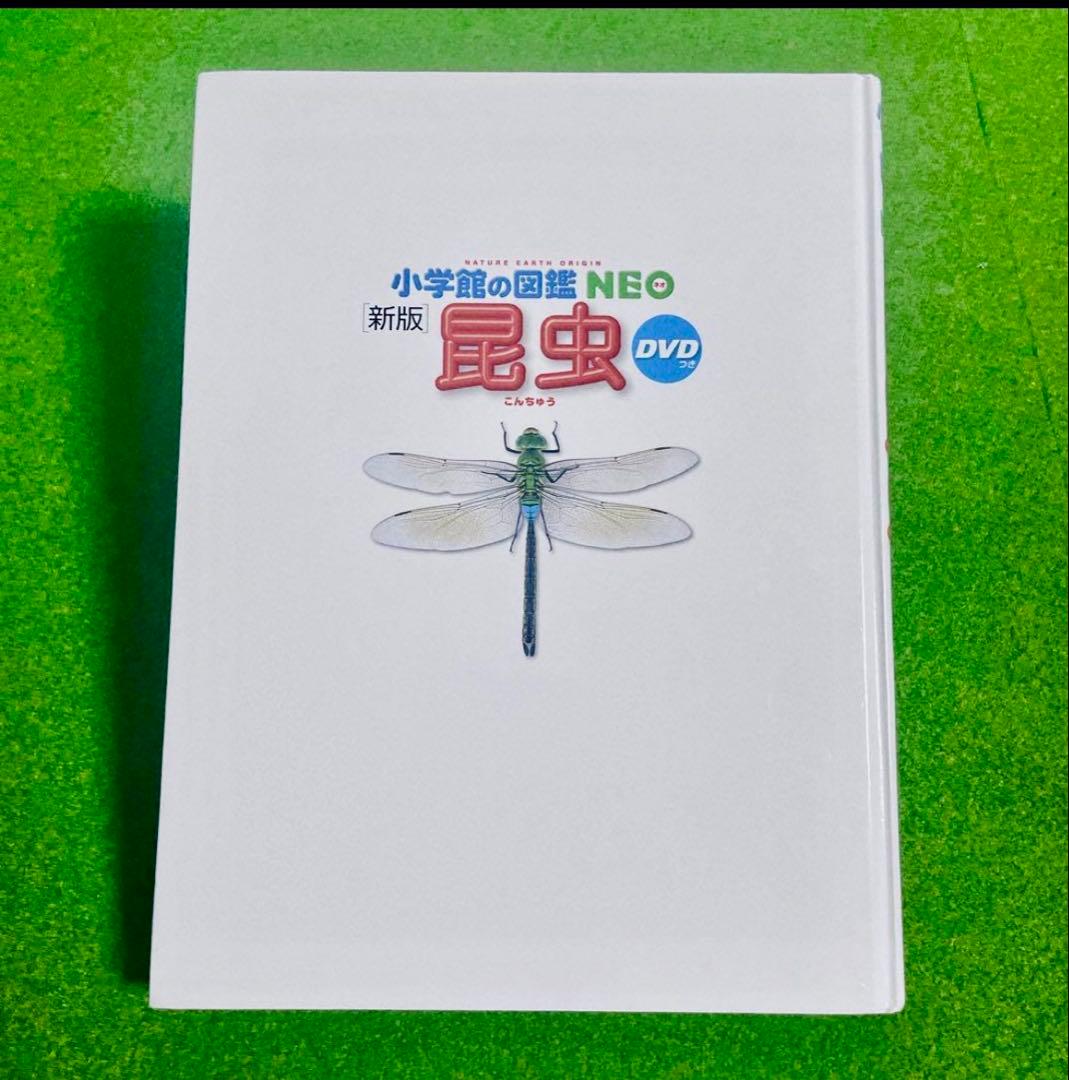 小学館の図鑑NEO 5冊セット　DVD有り