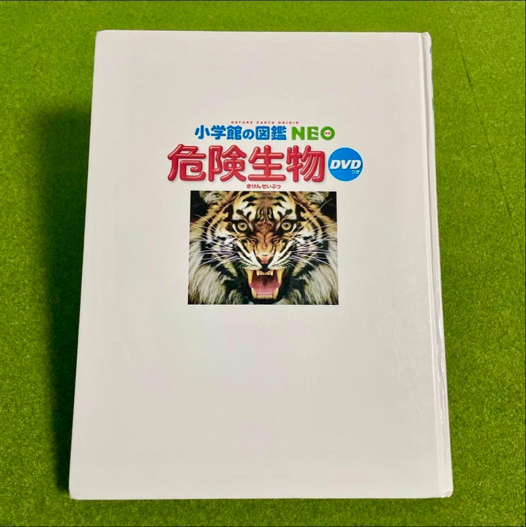 小学館の図鑑NEO 5冊セット　DVD有り
