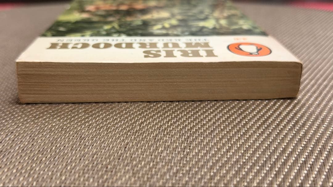 希少　Iris Murdoch THE RED AND THE GREEN