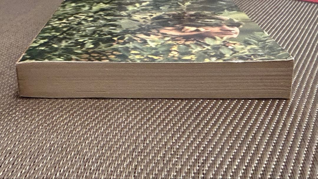 希少　Iris Murdoch THE RED AND THE GREEN