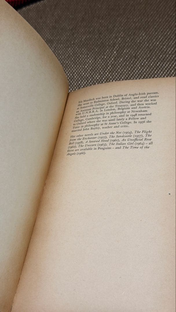 希少　Iris Murdoch THE RED AND THE GREEN