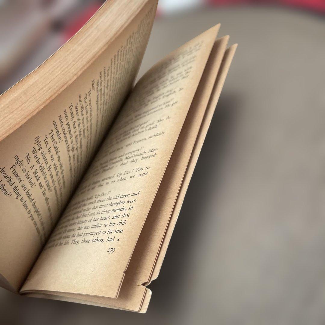 希少　Iris Murdoch THE RED AND THE GREEN