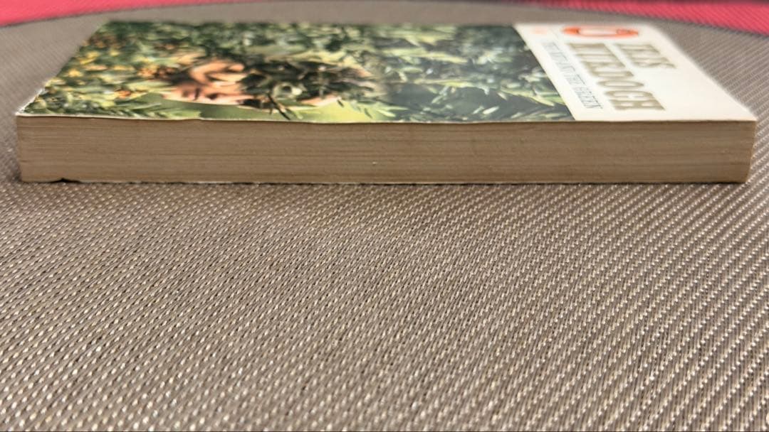 希少　Iris Murdoch THE RED AND THE GREEN