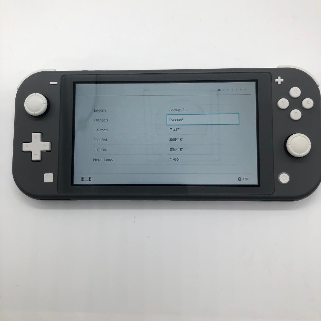 極美品 Nintendo Switch Lite スイッチライト 本体 グレー