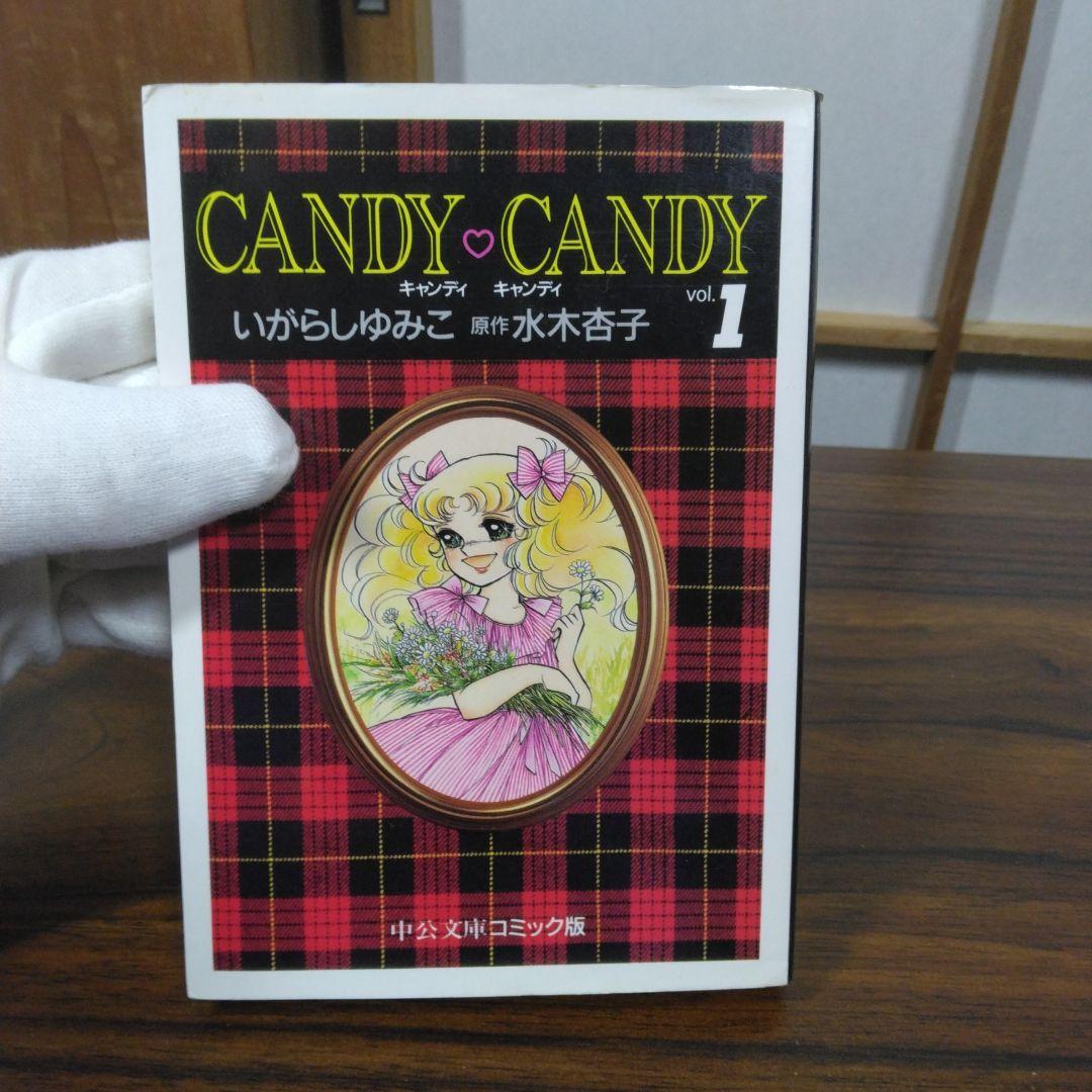 キャンディ・キャンディ 全6巻文庫セット　中公文庫コミック版
