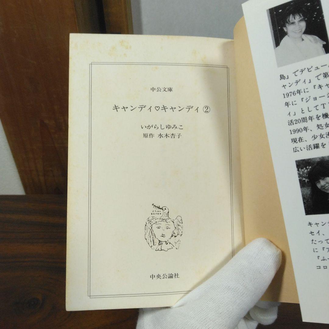 キャンディ・キャンディ 全6巻文庫セット　中公文庫コミック版