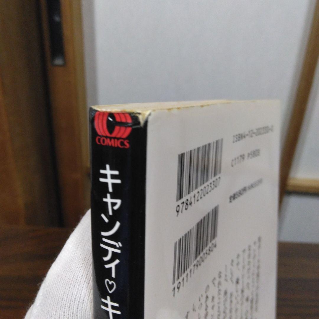 キャンディ・キャンディ 全6巻文庫セット　中公文庫コミック版