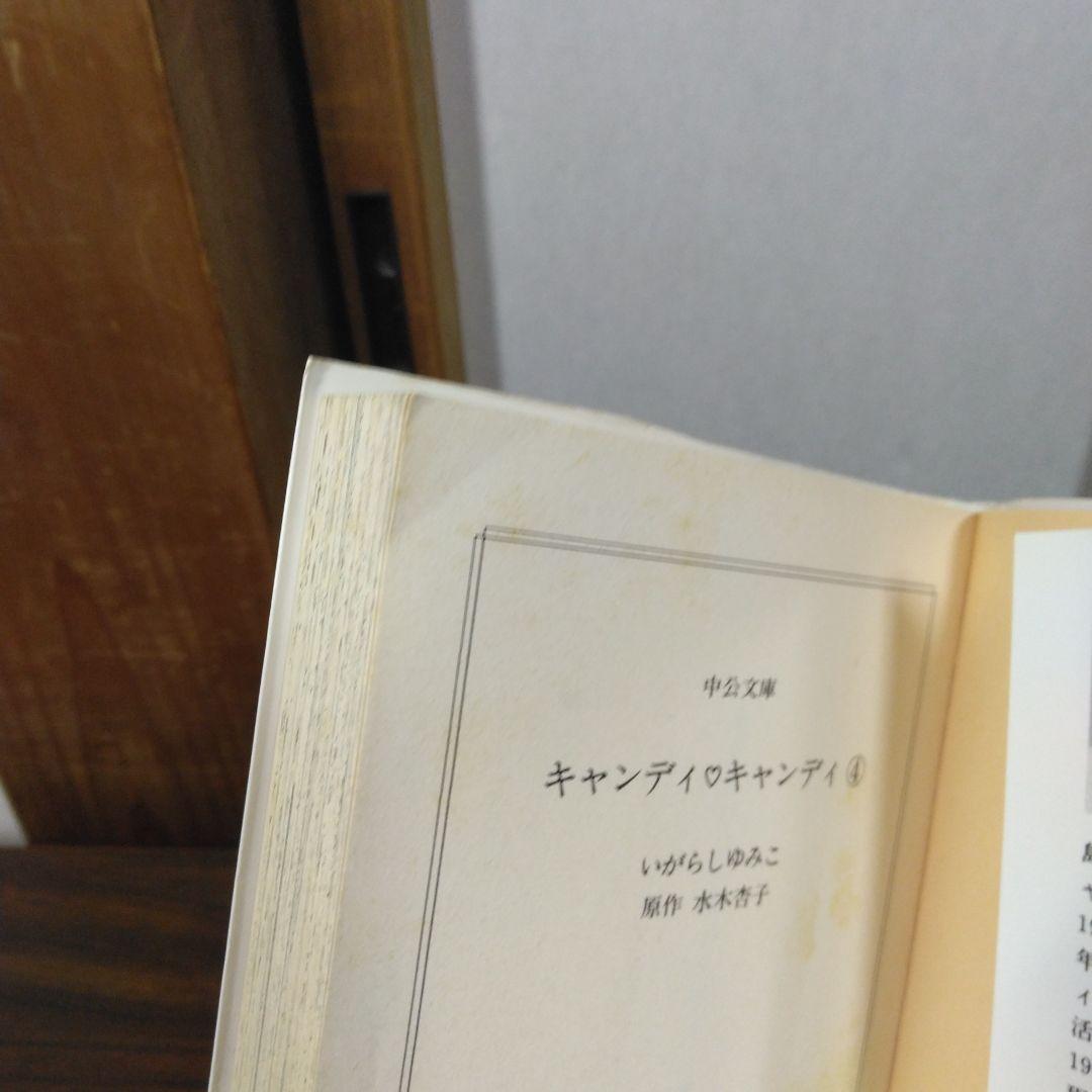キャンディ・キャンディ 全6巻文庫セット　中公文庫コミック版