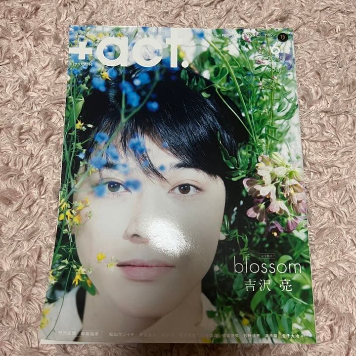 吉沢亮 雑誌 表紙 裏表紙 10冊