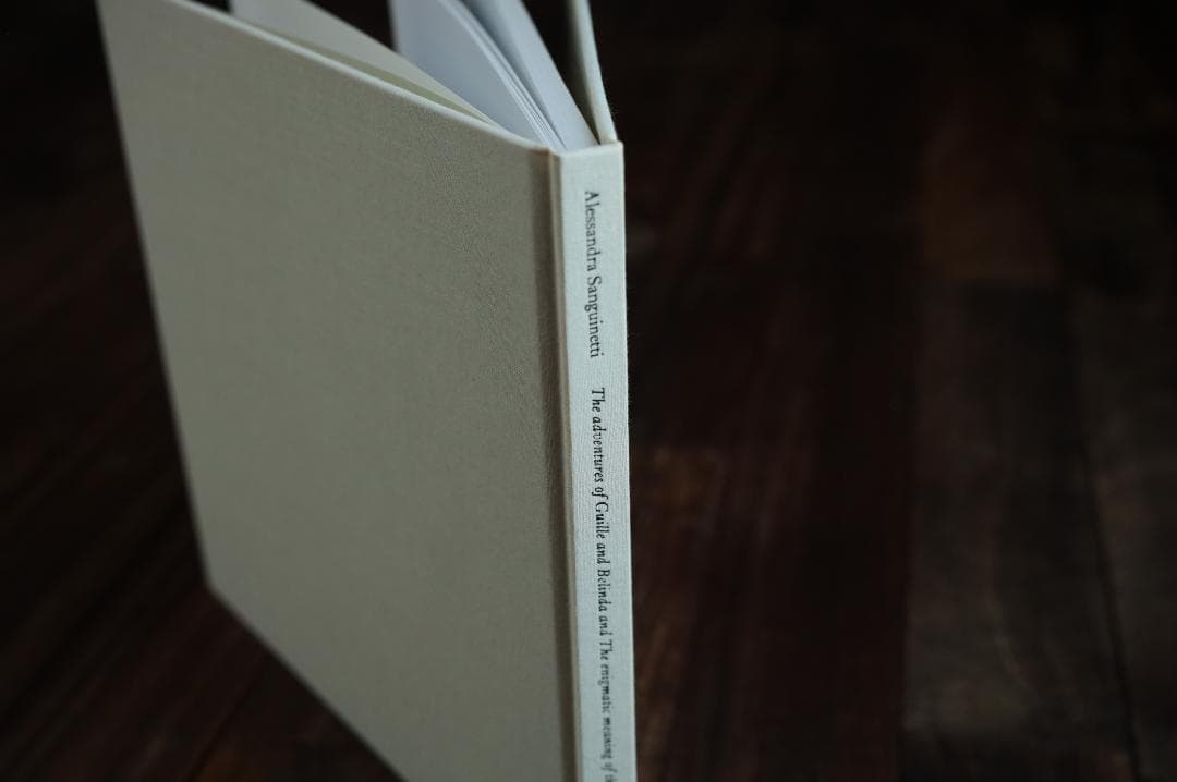 アート・デザイン・音楽 Alessandra Sanguinetti