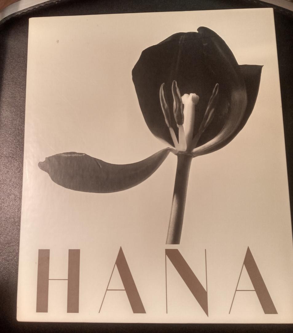 石元泰博写真集 　HANA 大型本 1988年　求龍堂