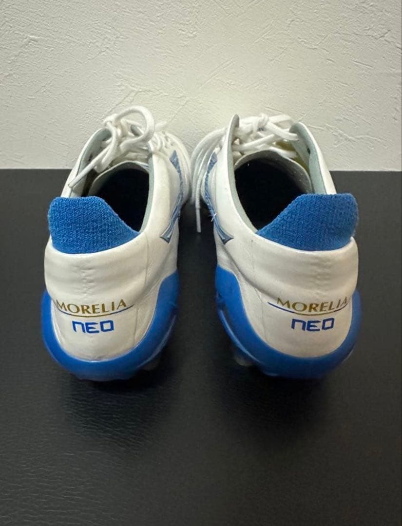 よ*よ様 モレリアネオ4