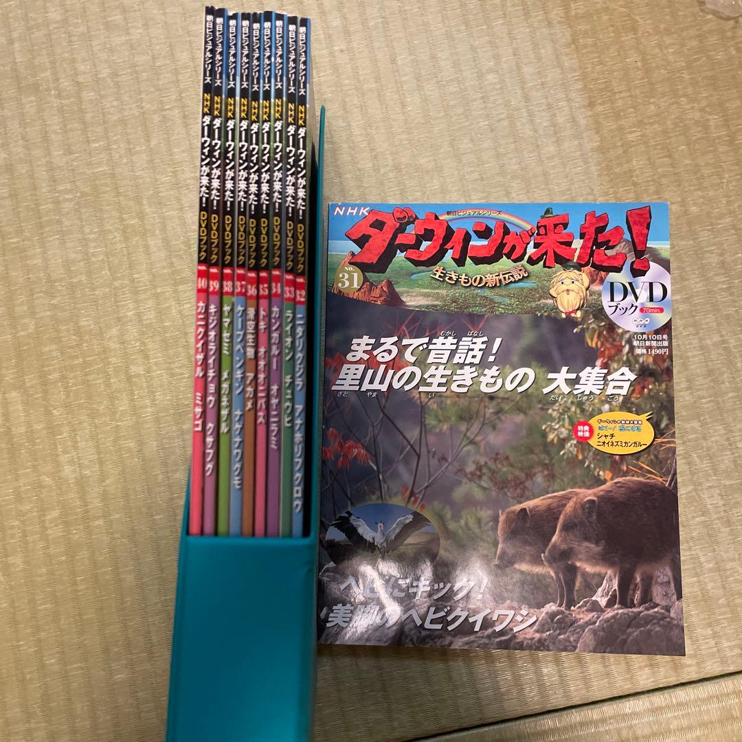 ダーウィンが来た！ DVDセット4