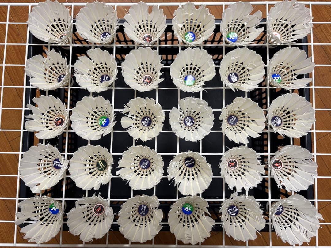 【中古】バドミントンシャトル240個（20ダース）ノック用等に