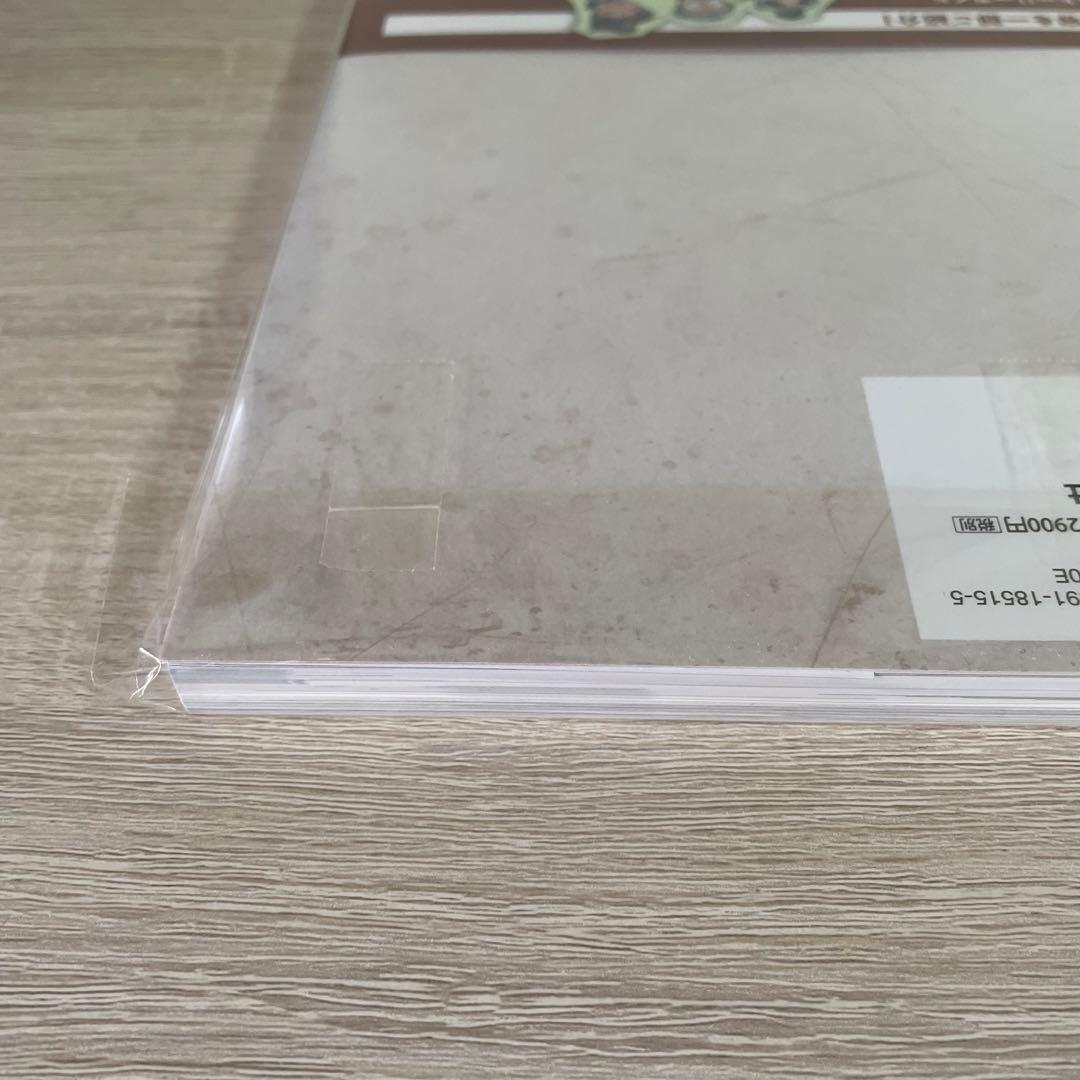 24時間以内発送 忍たま乱太郎 豪華版 パンフレット ビジュアルブック