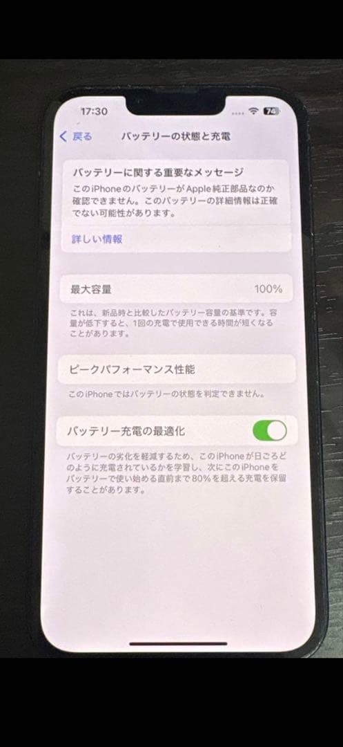 パディお　　　Apple iPhone 13