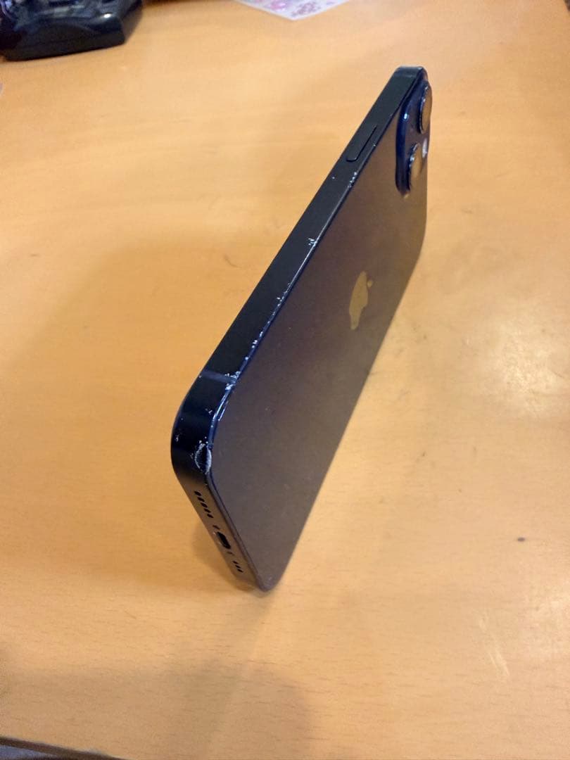 パディお　　　Apple iPhone 13