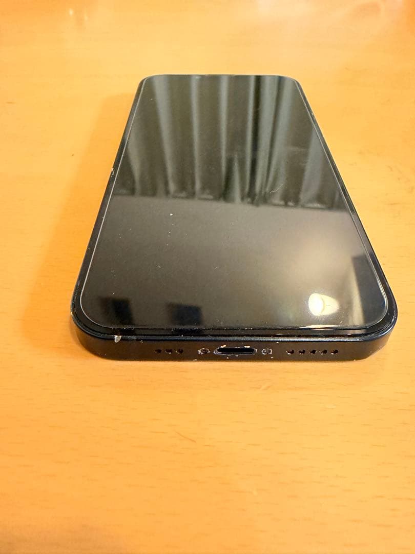 パディお　　　Apple iPhone 13