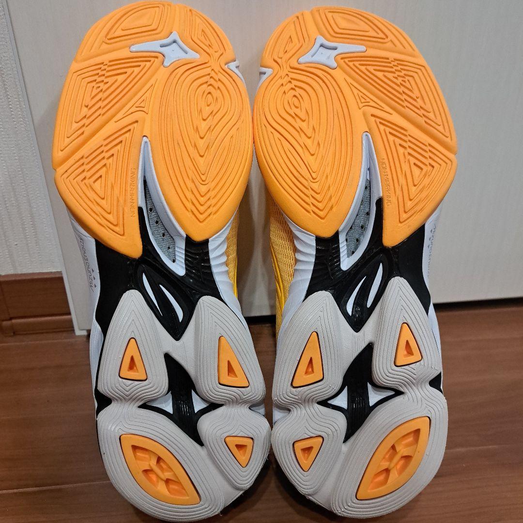 雪さん専用☆美品☆Mizuno バレーボールシューズ 27センチ☆
