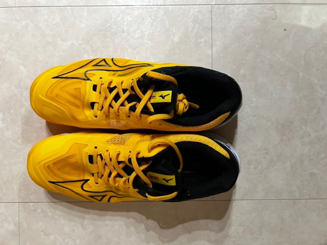 雪さん専用☆美品☆Mizuno バレーボールシューズ 27センチ☆