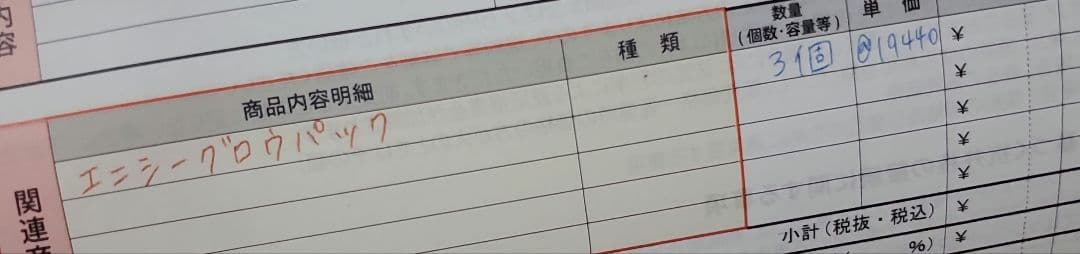 【ジャンク品】エニシー グローパック